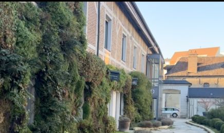 Ma Bulle de Douceur  : Manucure à Troyes