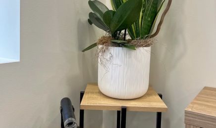 Fan De Coiffure  : Coiffeur à La Motte