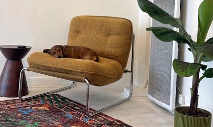 Barber & grooming privé by Marjorie Fritsch : Barbier à Paris