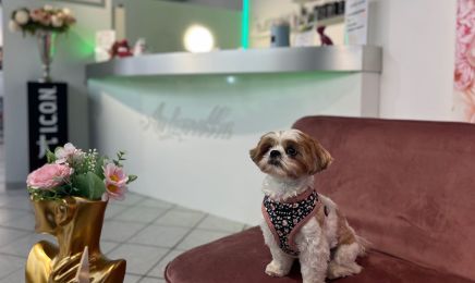 Hairstudio Antonella : Friseur in Nürnberg