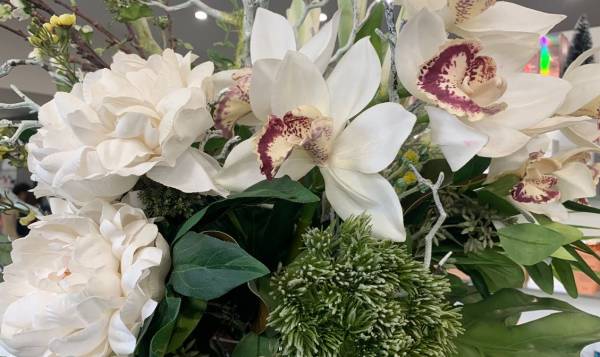 Elicy Coiffeur Vegetal