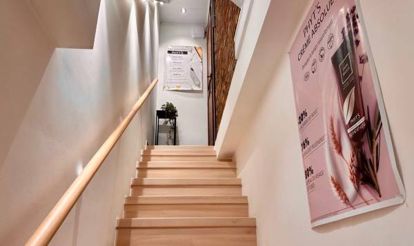 Morgane’ s Institute 