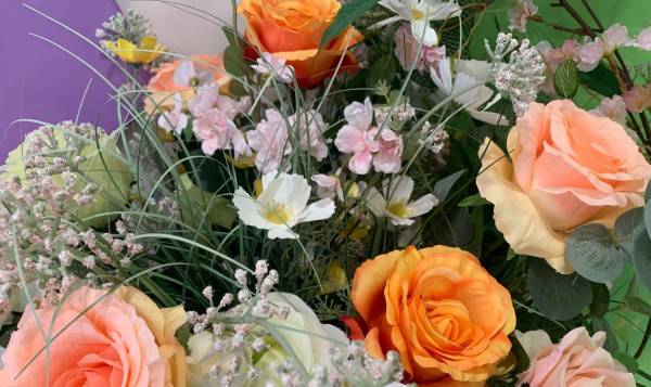 Elicy Coiffeur Vegetal