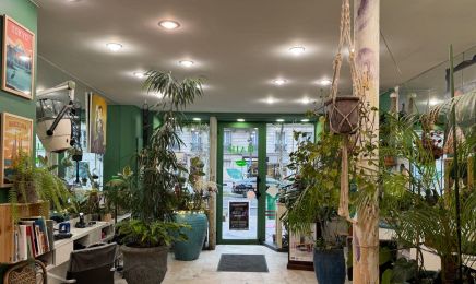 Fred Tout Court : Coiffeur à Paris