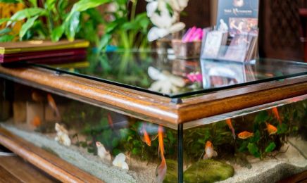 ThaÏ Rachawadee : Institut de beauté à Paris