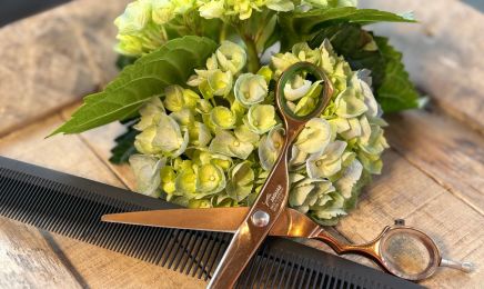 Hair by Astrid Benteler: Friseur in Freudenberg