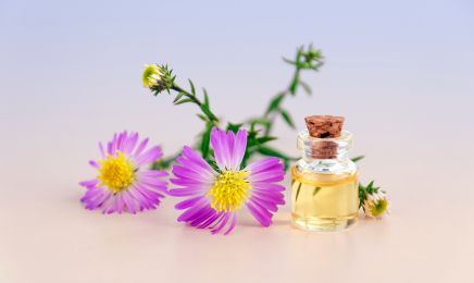 Symphony Zen Massage : Institut de beauté à Gaillac
