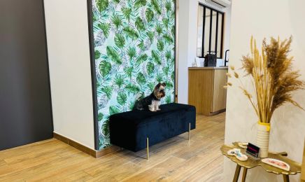 Chichi Pompon : Coiffeur à Monteux