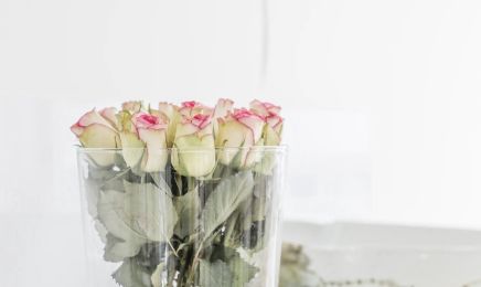 Kosmetik Izabela Machnacz : Kosmetikstudio in Essen