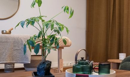 Yuja Bien-Être : Institut de beauté à Rennes