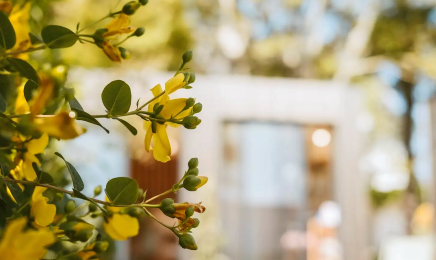 Au Jardin , coiffeur coloration végétale, Bien-être : Coiffeur à Quimper