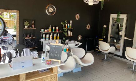 Le Salon des Viviers : Barbier à Lège-Cap-Ferret