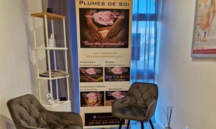 Plumes de soi - Cindy Rissons (thérapeute psycho-corporelle) : Hypnothérapeute à La Verpillière