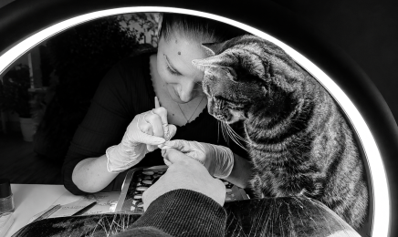 Les ongles de Cam : Manucure à Aussonne