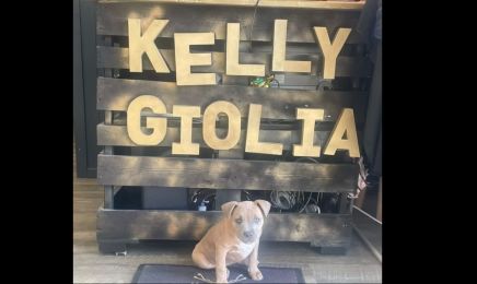 Kelly Giolia  : Coiffeur à Vitrolles