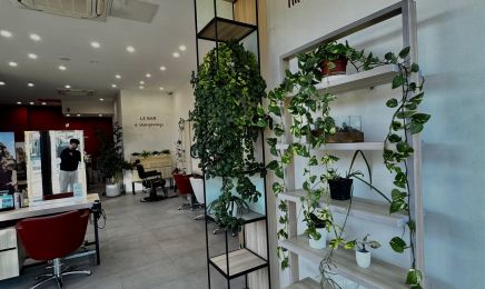 Saint Algue - La Valette-du-Var : Barbier à La Valette-du-Var