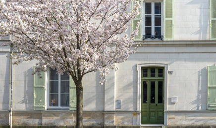 Traditions du Bien être - Hélène Scardina : Réflexologue à Angers