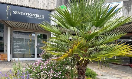 Sensation'Elle Institut de Beauté - Chamalières : Coiffeur à Chamalières