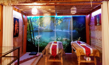 Thani Thai Massages : Institut de beauté à Toulouse