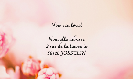 Le P'tit Salon : Institut de beauté à Josselin
