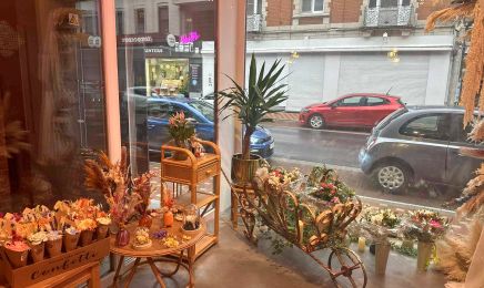 Casa Rana by Hair Paradise : Coiffeur à Comines-Warneton
