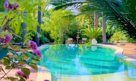 Cannes Villa St Barth - Spa & Massages  : Spa à Cannes