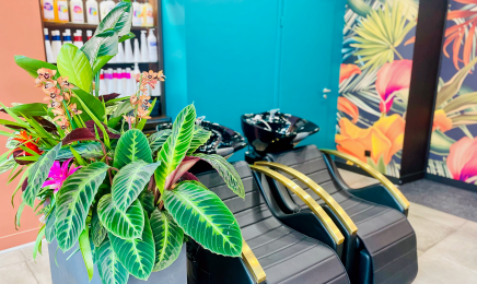 Xotic Mulhouse : Boucles • Barber • Soins • Lissage • Ybera • Tresses • Locks : Coiffeur à Mulhouse
