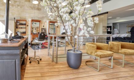 Studio Andreas - Anciennement DG Talence : Coiffeur à Talence