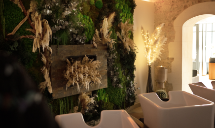 Différence Coiffure - Tiercé - Coiffeur et Prothésiste Capillaire : Coiffeur à Tiercé