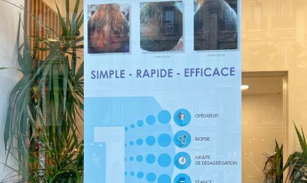 MAISON HIRSULASER Marseille  CEO MESSAOUDI LAREM : Institut de beauté à Marseille