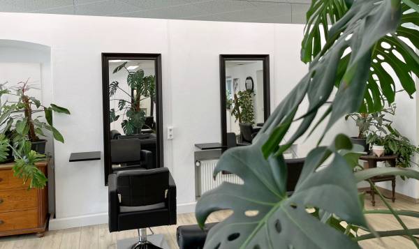 Friseursalon Maximilian