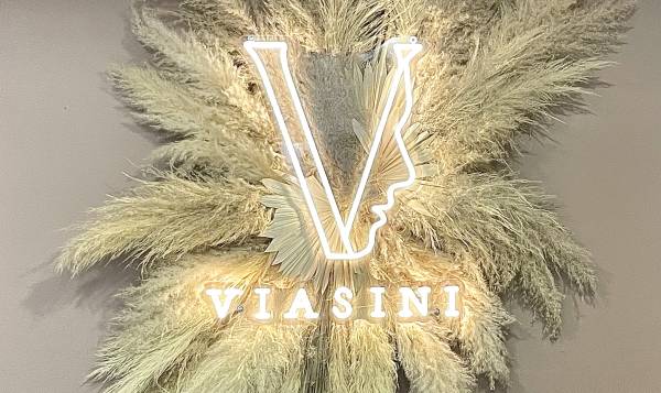 Viasini Institut