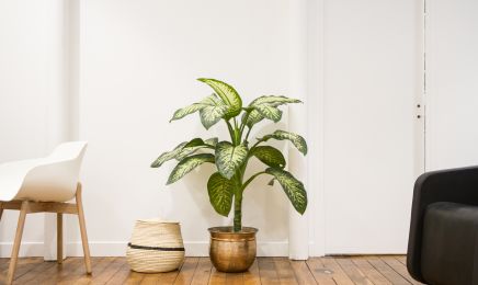 L'Atelier M : Coiffeur à Paris