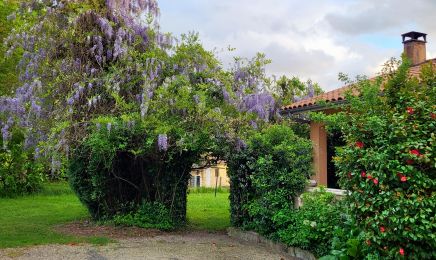 M institut : Manucure à Yvrac