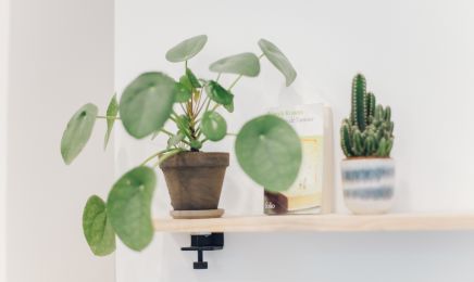 L'Atelier M : Coiffeur à Paris
