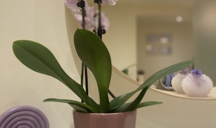 Casey Beauty : Coiffeur à Strasbourg