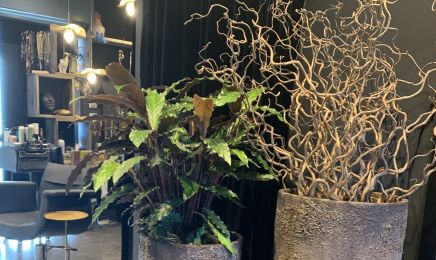 Karine Capillicultrice : Coiffeur à L'Isle-sur-la-Sorgue