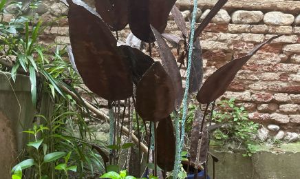 Le Patio Artisane Coiffeuse : Coiffeur à Toulouse