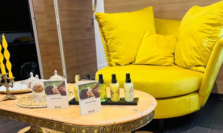Les jolies SPA : Coiffeur à Quimper