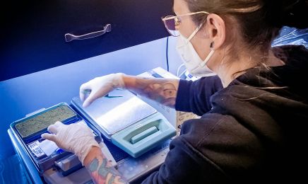 Tradinktion - Tattoo Piercing : Institut de beauté à Albi