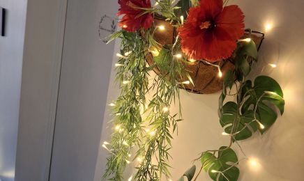 Mon coiffeur Mon SPA : Manucure à Vesoul