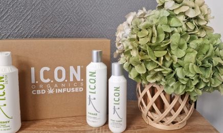 L'insolence coiffure : Coiffeur à Merville