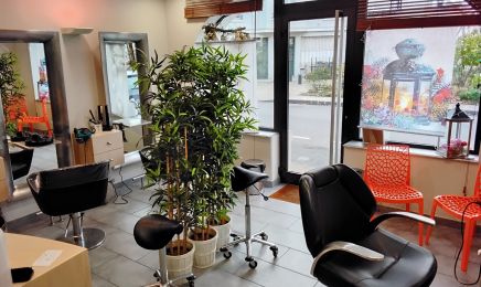 Coiffure severine h : Coiffeur à Moulins