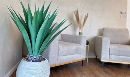 AS Beauty Concept : Kosmetikstudio in Hirschaid