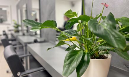 Ihr Haarschnitt (bei Mahnaz Maria): Barbershop in Dreieich