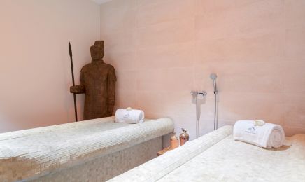 Château de Dissay : Institut de beauté à Dissay