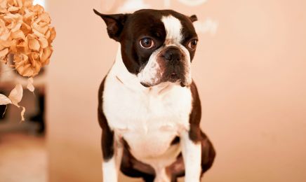 TS Salmuni • Hair Care & Beauty •: Kosmetikstudio in Bensheim