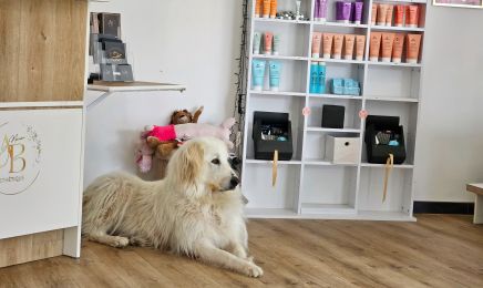Axe beauté : Institut de beauté à Varilhes