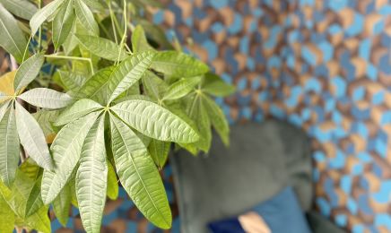 Pallas beauté : Manucure à Beausoleil