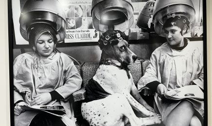 Izatis Coiffure : Coiffeur à Linas